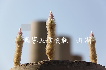 国家助学贷款 逾期 国家助学贷款 逾期